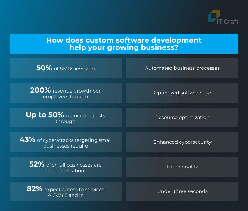 custom software development for small business