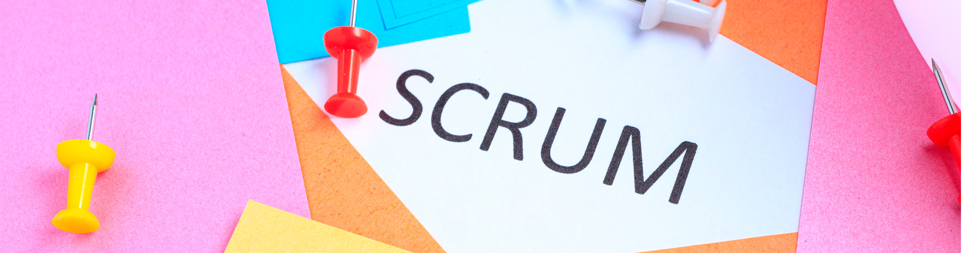 agile startup development agile startup